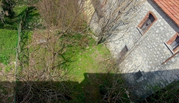 33641513.jpg